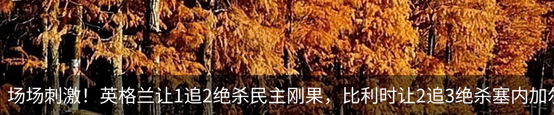 内页banner